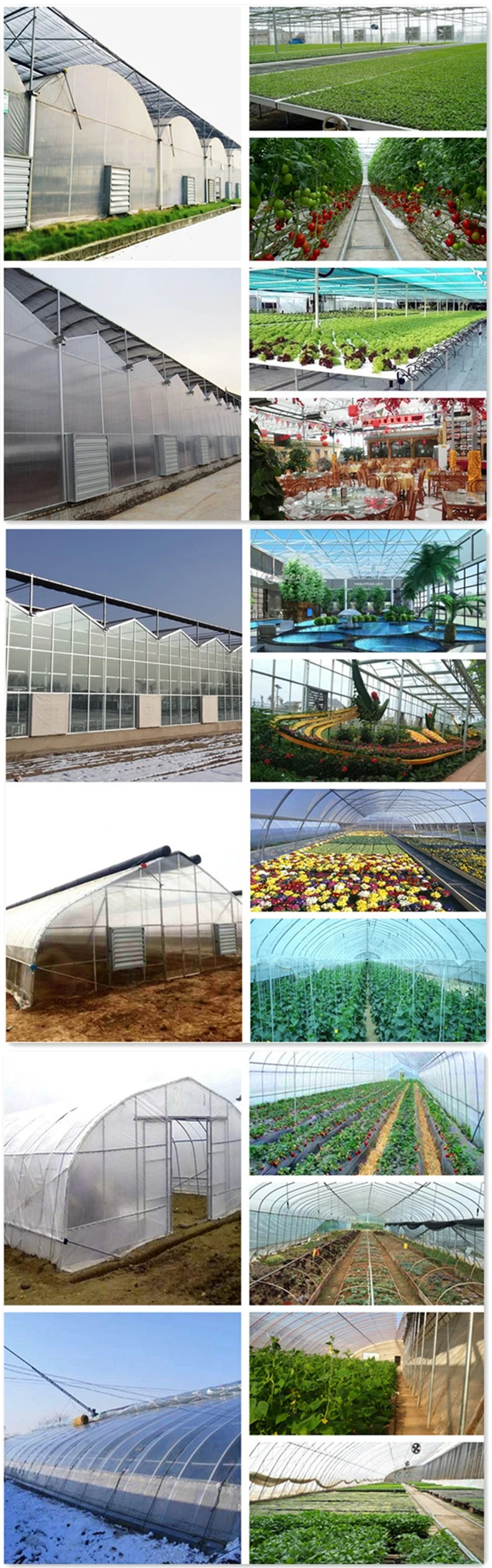 Factory Supply Intelligent Glass Greenhouse Material for Seedlings/Eco Restaurant/Exhibition