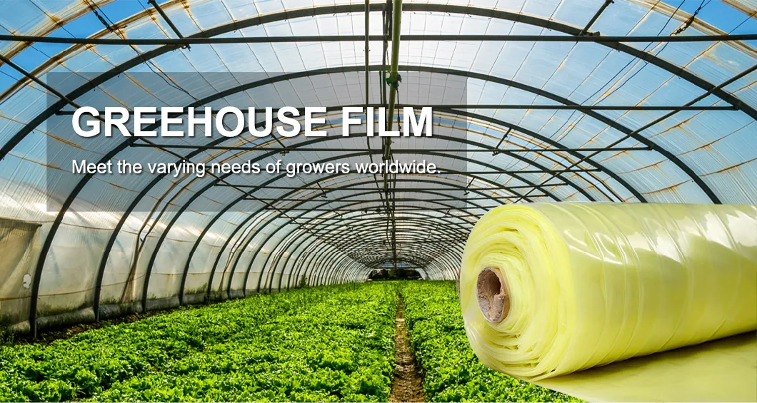 Greenhouse Plastic UV Film Agricultural Greenhouse Film for Vegetables/Flowers/Garden