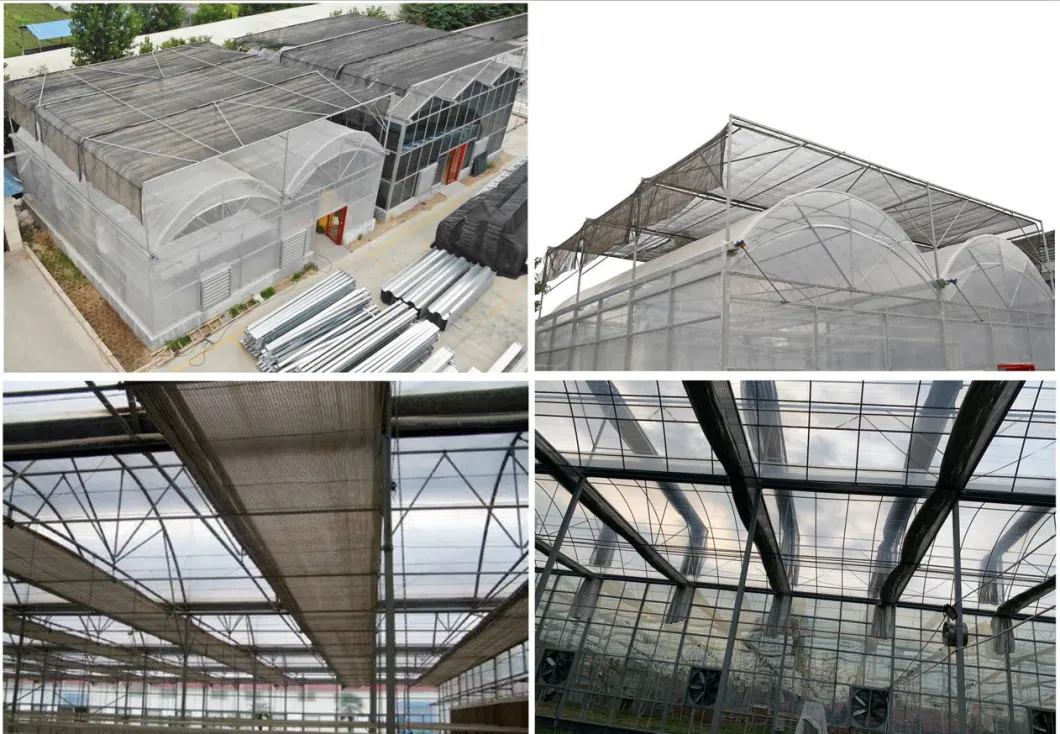 Film Greenhouse Inside and Outside Shading System for Agricultural