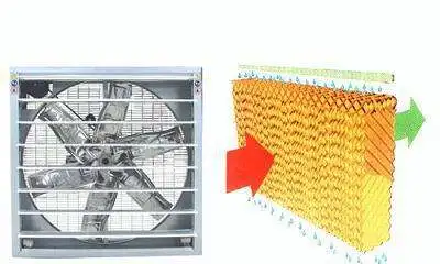 Greenhouse Water Evaporative Cooling System