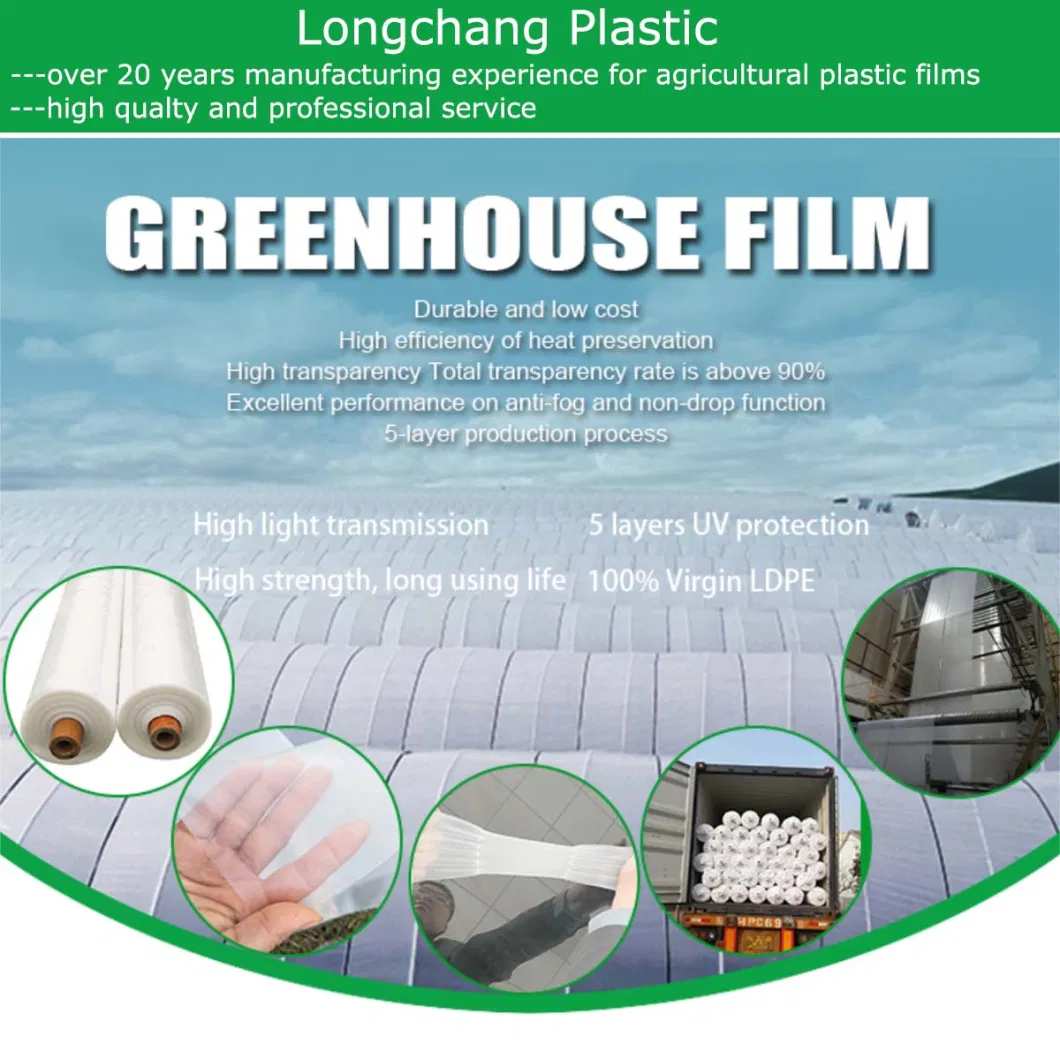 Wholesale Price Waterproof Plastic Sheet Film Agricultural Greenhouse Film Commercial Greenhouse Plastic Film