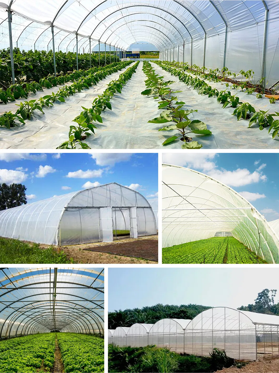 Greenhouse Plastic UV Film Agricultural Greenhouse Film for Vegetables/Flowers/Garden