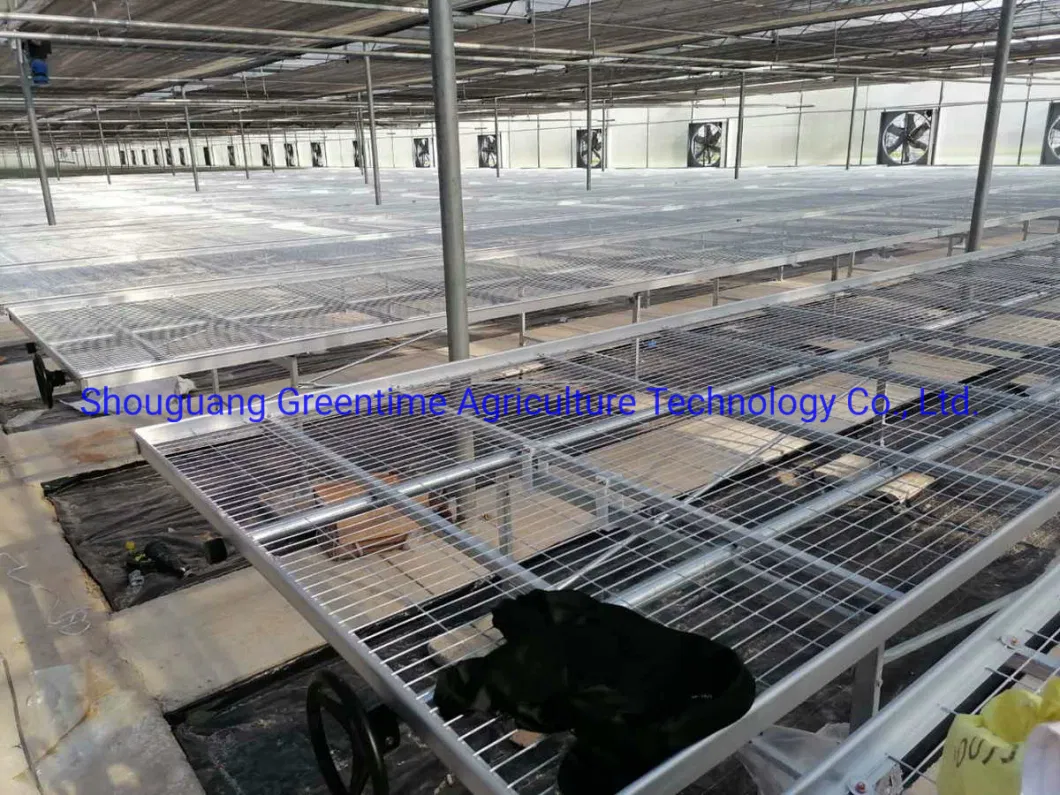 Mesh Commercial Rolling Bench System for Agricultural Planting Nursery