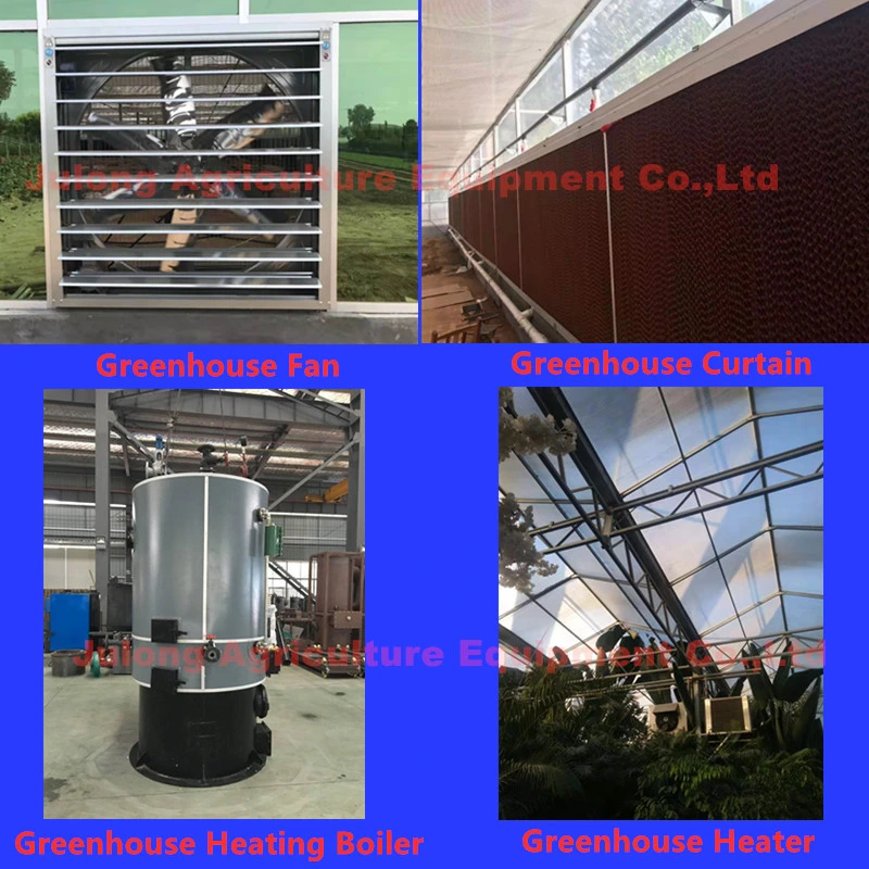 High Quality Steel Pipe Agricultural Green House Steel Structure with Glass Covering