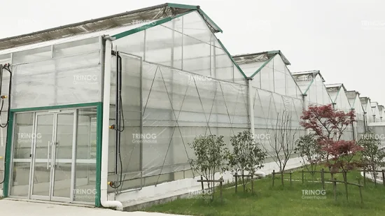 Estufa de policarbonato para telhado triangular agrícola com almofada de resfriamento e ventiladores