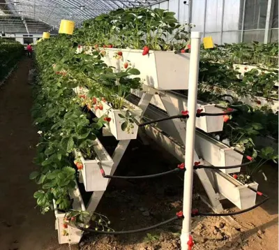 Sistema crescente hidropônico vertical do PVC Nft da estufa dos vegetais