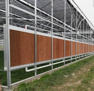 Sistema de ventilação de resfriamento de ar para agricultura, plantio de flores com efeito de estufa, oficina industrial